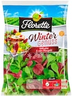 Salat Wintergenuss oder Kopfsalat bei REWE im Herdorf Prospekt für 1,79 €