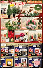 Norma Zypresse im Prospekt Norma Zypresse im Prospekt