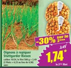 Oignons à repiquer stuttgarter riesen dans le catalogue Norma