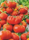 Angebot im toom Baumarkt Kelkheim (Taunus) Prospekt toom Baumarkt Kelkheim (Taunus) Prospekt mit im Angebot für 5,99 €