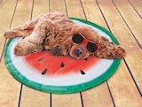 Tapis rafraîchissant pour chien en promo chez B&M Tapis rafraîchissant pour chien dans le catalogue B&M