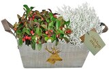 Herbstarrangement für 7,99 € bei REWE im Angebot Herbstarrangement im aktuellen REWE Prospekt