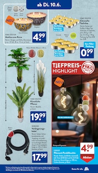 Blumen Angebot im ALDI SÜD Prospekt, gültig von 10.06.2025 bis 14.06.2025 Blumen Angebot im aktuellen ALDI SÜD Prospekt auf Seite 16