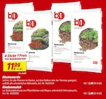 toom Baumarkt - Blumenerde Angebot im Prospekt Blumenerde bei toom Baumarkt im Prospekt für 3,99 €
