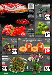 EDEKA Stolberg Prospekt der aktuellen Woche, gültig von 07.07.2025 bis 12.07.2025 Aktueller EDEKA Stolberg Prospekt "Aktuelle Angebote" mit 24 Seiten