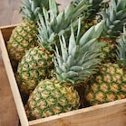 Ananas à Intermarché Contact dans Pont-Aven