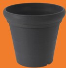 Pot de fleurs en promo à 6,99 € chez Cora Pot de fleurs dans le catalogue Cora