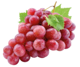 Kernlose Tafeltrauben hell Angebote bei REWE Pulheim für 4,99 €