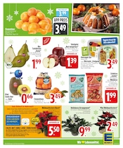 Pflanzen im EDEKA Prospekt in Ravensburg Aktueller EDEKA Prospekt mit Pflanzen, "IM EINSATZ FÜR FRISCHE & VIELFALT.", Seite 5