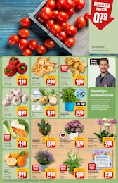 REWE Blumen im Prospekt REWE Blumen im Prospekt
