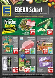 EDEKA Prospekt für Nürnberg mit 30 Seiten EDEKA Prospekt für Nürnberg: "Wir lieben Lebensmittel!", 30 Seiten, 02.03.2026 - 07.03.2026