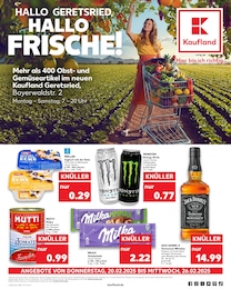 Kaufland Prospekt für Geretsried: "Aktuelle Angebote", 60 Seiten, 20.02.2025 - 26.02.2025