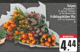 Tulpen Frühlingsblüher Mix Angebote bei EDEKA Erftstadt für 4,44 €