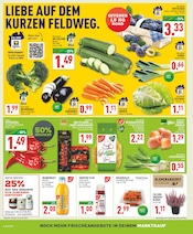 Tomaten im Marktkauf Prospekt in Marl Aktueller Marktkauf Prospekt mit Tomaten, "Aktuelle Angebote", Seite 2