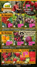 Himbeeren Angebot im aktuellen Hornbach Prospekt auf Seite 5
