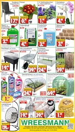 Aktueller Wreesmann Prospekt mit Kartoffeln, "DEIN SAISON- & SONDERPOSTENMARKT!", Seite 12
