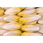 Endives jeunes pousses en promo chez Carrefour Endives jeunes pousses dans le catalogue Carrefour