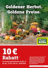 Pflanzen Kölle Prospekt für Oberschleißheim: "Goldener Herbst. Goldene Preise.", 2 Seiten, 01.09.2025 - 30.09.2025