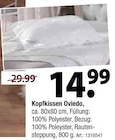 Kopfkissen Oviedo im Angebot bei Zurbrüggen in Löhne Kopfkissen Oviedo Angebote bei Zurbrüggen Löhne für 14,99 €