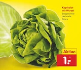 Kopfsalat mit Wurzel Angebote bei Netto Marken-Discount Bremerhaven für 1,00 €