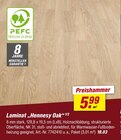 Laminat „Hennessy Oak“ im Angebot bei toom Baumarkt in Löhne Laminat „Hennessy Oak“ Angebote bei toom Baumarkt Löhne für 5,99 €