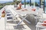Table Axiome extensible aluminium imprimé effet bois lin 10 places - HESPÉRIDE - Maxi Bazar à La Ciotat Table Axiome extensible aluminium imprimé effet bois lin 10 places - HESPÉRIDE en promo chez Maxi Bazar La Ciotat à 799,00 €