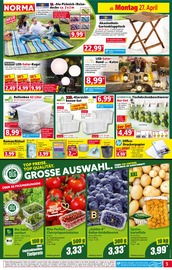 Aktueller Norma Prospekt mit Tischdecke, "Mehr fürs Geld", Seite 5