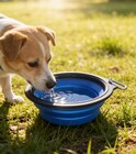 Bol pliable pour animaux - B&M Bol pliable pour animaux à 2,47 € dans le catalogue B&M
