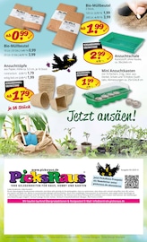 Aktueller Picks-Raus Prospekt mit Mülleimer, "1000 GELEGENHEITEN FÜR HAUS, HOBBY UND GARTEN", Seite 8