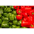 Poivron rouge ou vert dans le catalogue Carrefour