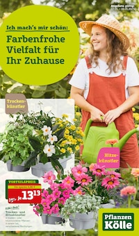Pflanzen Kölle Prospekt Ich mach´s mir schön mit  Seiten in Glonn und Umgebung