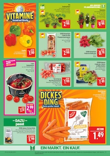 Salat im Marktkauf Prospekt "AUSWAHL RIESIG, PREISE NIEDRIG" mit 48 Seiten (Nürnberg)