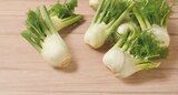 demeter oder Bioland Bio-Fenchel im tegut Prospekt demeter oder Bioland Bio-Fenchel von demeter im aktuellen tegut Prospekt für 1,49 €