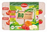 Bio Fruchtquark im Angebot bei Lidl in Braunschweig Bio Fruchtquark Angebote von Milbona bei Lidl Braunschweig für 2,49 €