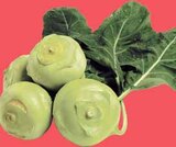 Italienischer oder spanischer Kohlrabi im WEZ Prospekt zum Preis von 0,69 €