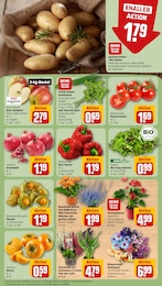 Gartenpflanzen Angebot & Preis im aktuellen REWE Prospekt Gartenpflanzen Angebot im aktuellen REWE Prospekt auf Seite 11