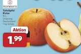 combi Cuxhaven - Tafeläpfel Elstar Angebot im Prospekt Tafeläpfel Elstar bei combi im Cuxhaven Prospekt für 1,99 €