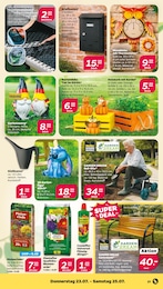 Pflanzkorb Angebot & Preis im aktuellen Netto mit dem Scottie Prospekt Pflanzkorb Angebot im aktuellen Netto mit dem Scottie Prospekt auf Seite 25