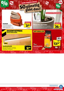 Kaminholz im Hagebaumarkt Prospekt "So günstig geht das!" mit 10 Seiten (Regensburg)