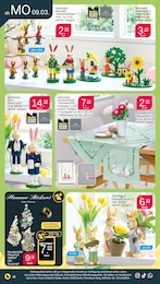 Fensterbilder Angebot im aktuellen Netto mit dem Scottie Prospekt auf Seite 24