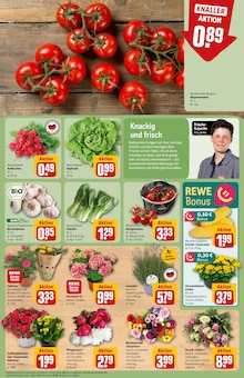 Lavendel im aktuellen REWE Prospekt (Berlin) Lavendel im REWE Prospekt "Dein Markt" mit 34 Seiten (Berlin)