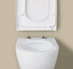 WC-Sitz im Angebot bei Lidl in Pinneberg WC-Sitz Angebote von LIVARNO bei Lidl Pinneberg für 12,99 €