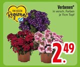Aktuelles Verbenen Angebot bei EDEKA in Augsburg ab 2,49 €