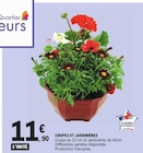 Coupes et jardinières - E.Leclerc à Saint-Étienne Coupes et jardinières en promo chez E.Leclerc Saint-Étienne à 11,90 €