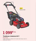 Tondeuse à batterie 60 V en promo chez Espace Emeraude Aurillac à 1 099,00 €