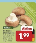 combi Enger - Bio Creme Champignons Angebot im Prospekt Bio Creme Champignons bei combi im Enger Prospekt für 1,99 €
