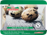 Wachteleier im Angebot bei Netto Marken-Discount in Leipzig Wachteleier Angebote von Gutshof-Ei bei Netto Marken-Discount Leipzig für 2,99 €