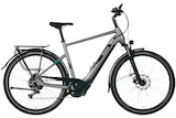 Pegasus Evo CX 750 Wh Herren silber 2024 Angebote von Pegasus bei Radwelt Coesfeld Recklinghausen für 2.777,00 €