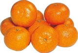 Spanien Clementinen bei EDEKA im Westerkappeln Prospekt für 1,99 €
