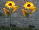 Solar-Sonnenblumen Angebot in Faulenrost Solar-Sonnenblumen im aktuellen Prospekt bei toom Baumarkt in Faulenrost
